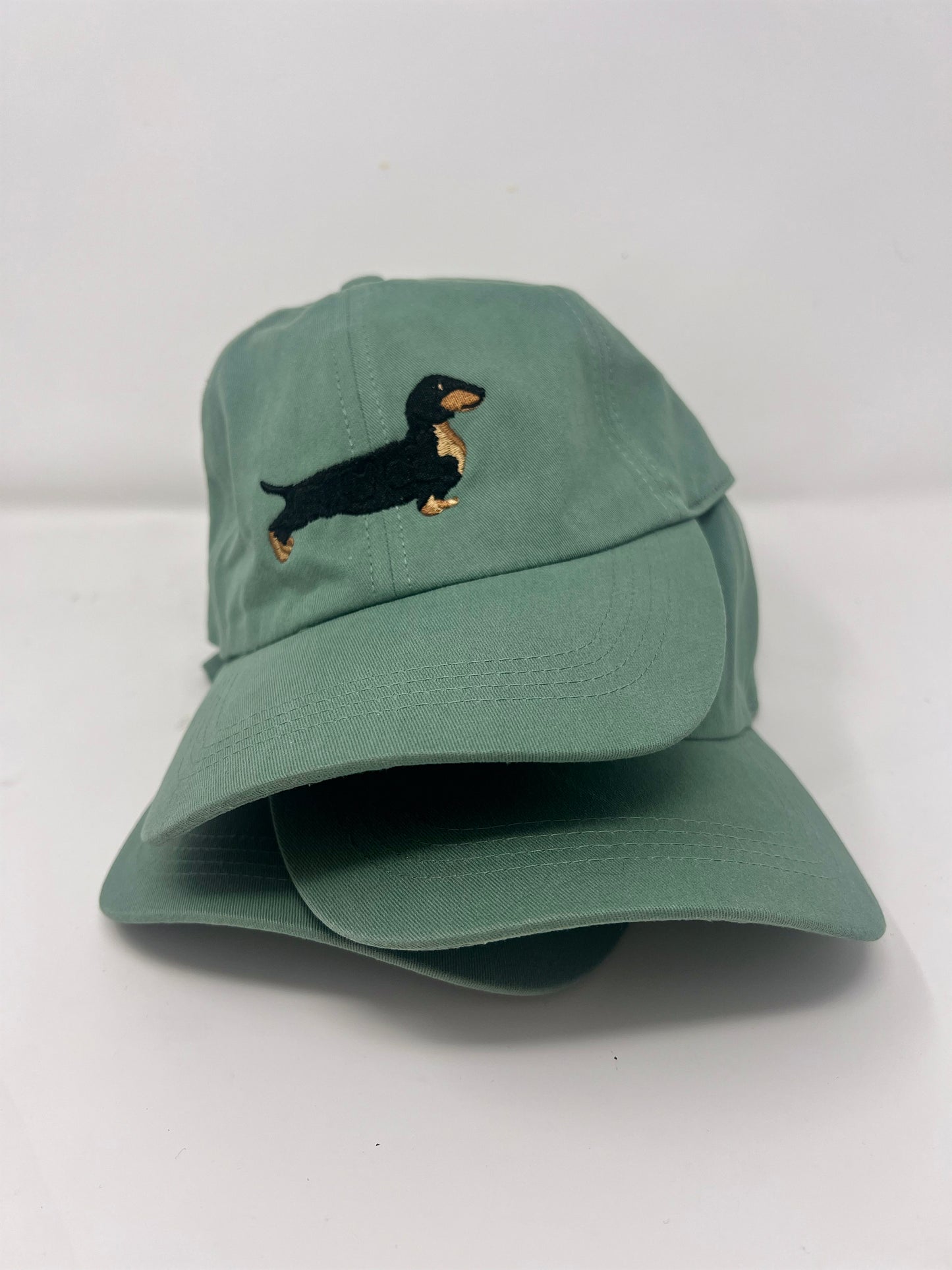 Dachshund on the brain